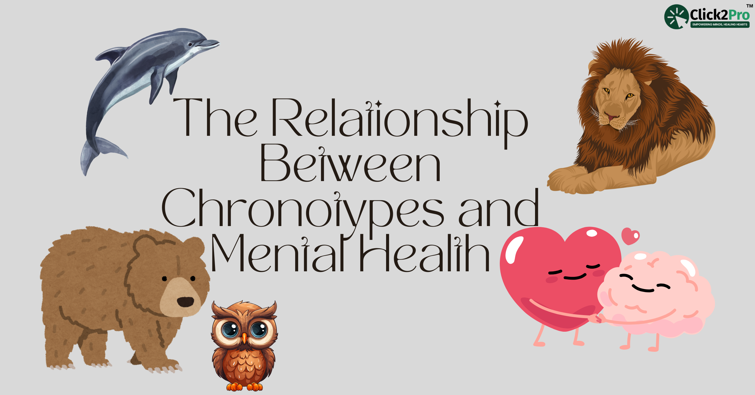 Chronotypes and Mental Health - Illustrated with Lion, Bear, Dolphin, Owl, and Brain-Heart Connection.