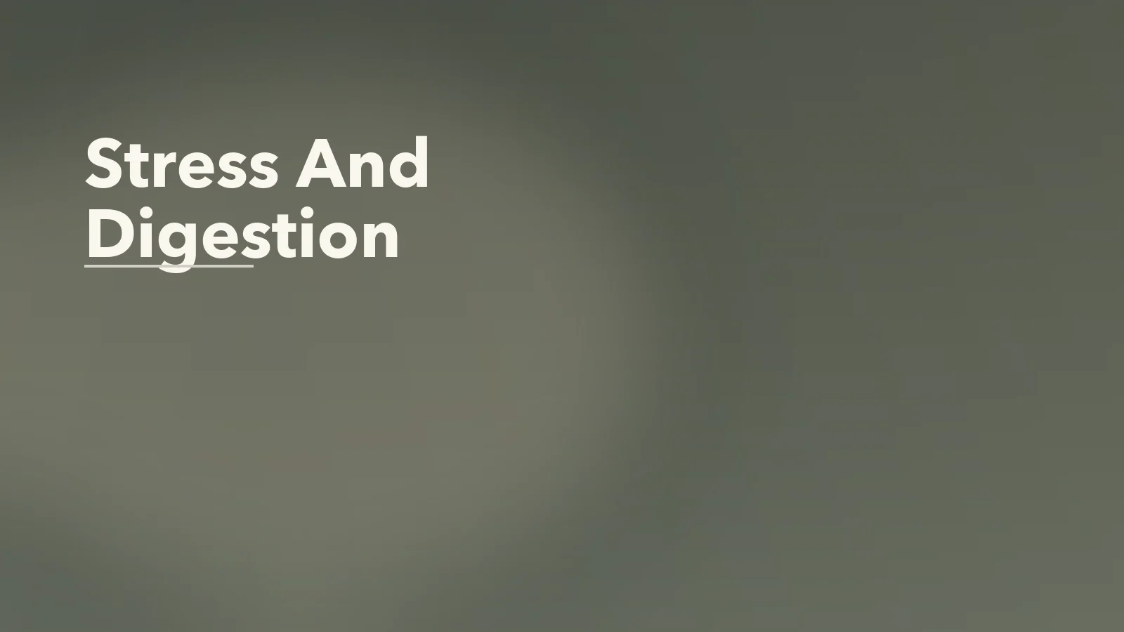 Editorial blog cover with the words 'Stress And Digestion' for an article about how chronic stress changes digestion, appetite, and gut comfort.